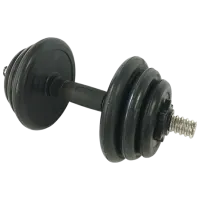 Set gantere Sport STI1734 25 kg / Cantitatea în set - 2