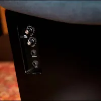 Cajon Meinl Snarecraft Mesteacăn / Black photo 8