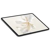 Tabletă Honor Pad 9 12.1" 8 GB/128 GB 5G Space Gray photo 3