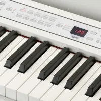 Цифровой пиан Korg C1 AIR WA Акустический / 88 клавиш / Split / Белый photo 4