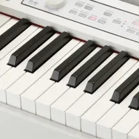 Цифровой пиан Korg C1 AIR WA Акустический / 88 клавиш / Split / Белый photo 5