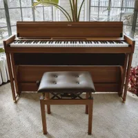 Цифровой пиан Korg POETRY Chopen NEW Акустический / 88 клавиш / Dual & Split / Коричневый photo 6