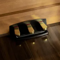 Цифровой пиан Korg POETRY Chopen NEW Акустический / 88 клавиш / Dual & Split / Коричневый photo 9