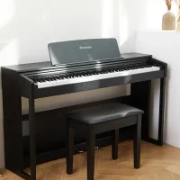 Цифровой пиан Greaten DK-150 BK Акустический / 88 клавиш / Split / Черный photo 5