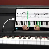 Цифровой пиан Korg LP-380U Акустический / 88 клавиш / Split / Черный photo 6