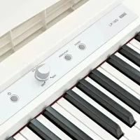 Цифровой пиан Korg LP-180 Акустический / 88 клавиш / Split / Белый photo 4