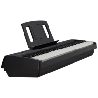 Цифровой пиан Roland FP-10 BK Акустический / 88 клавиш / Split / Черный photo 2