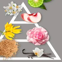 Aromatizator auto Hypno Casa Charme Floral / / pe grila de ventilare photo 4