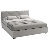 Pat My-Style my-Zoea 200 x 200 cm / Placaj / Gray