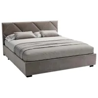 Pat My-Style my-Zoea 200 x 200 cm / Placaj / Dark Gray