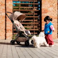 Cărucior pentru copil Joolz Aer2 320003/ Sandy Taupe photo 10