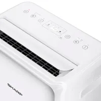 Uscător de aer SHARP UD-P164P-W Pe podea / White photo 5