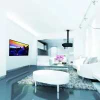 Suporturi pentru proiectoare Reflecta Tapa Universal 23055 Gray photo 3