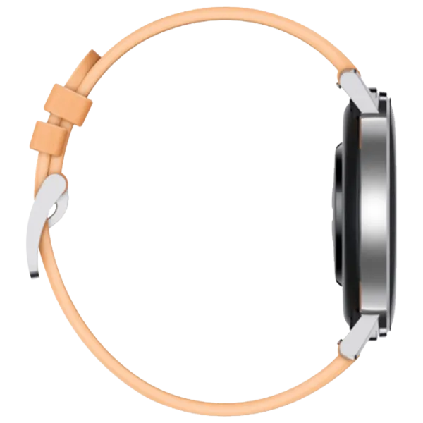 Умные часы Huawei Watch GT2 1.2"/ Dan-B19/ Серебристый Бежевый photo 4