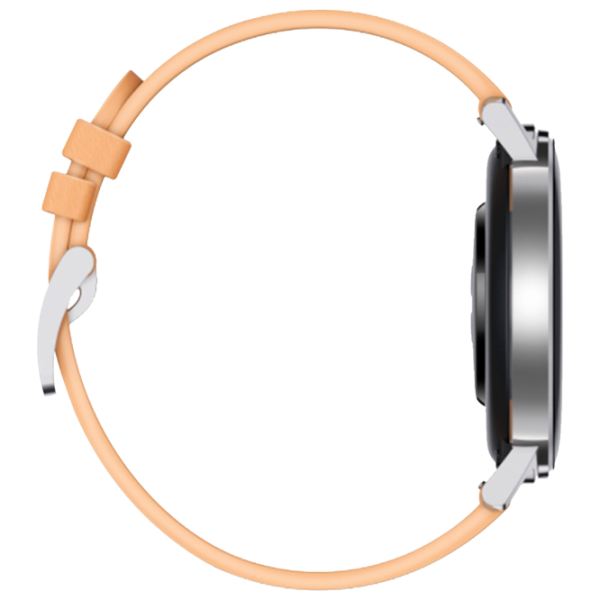 Умные часы Huawei Watch GT2 1.2"/ Dan-B19/ Серебристый Бежевый photo 4