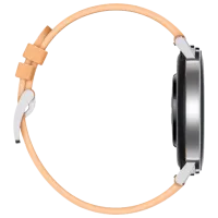 Умные часы Huawei Watch GT2 1.2"/ Dan-B19/ Серебристый Бежевый photo 4