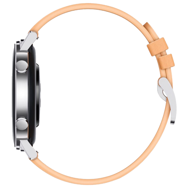 Умные часы Huawei Watch GT2 1.2"/ Dan-B19/ Серебристый Бежевый photo 5