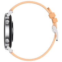 Умные часы Huawei Watch GT2 1.2"/ Dan-B19/ Серебристый Бежевый photo 5