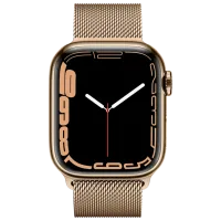 Умные часы Apple Watch Series 7 MKJ03/ Золотой/ Нержавеющая сталь/ Gold Milanese Loop photo 2