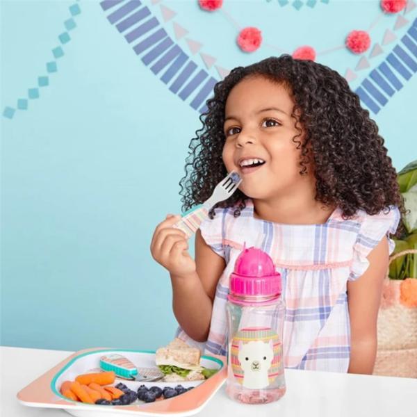 Набор Skip Hop Zoo Унисекс/ 12+/ Разноцветный photo 4