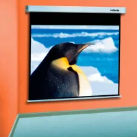 Ecran pentru proiector Reflecta Crystal-Line Rollo 87744 300 cm/ 226 cm/ Pe perete/ White photo 2