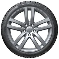 Шины Hankook Winter I*cept Evo3 W330 265/ 65 R17 116H Зима/ Легковой photo 2