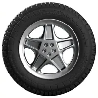 Шины Michelin Agilis Crossclim 195/ 75 R16C 110R Всесезонные/ Легковой photo 2