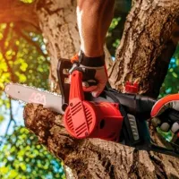 Fierăstrău cu lanţ AGM AET 180 Electrică/ Red photo 6