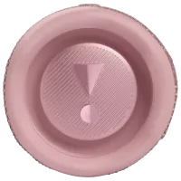 Портативная колонка JBL Flip 6 30 Вт/ Розовый photo 3