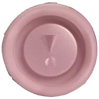 Портативная колонка JBL Flip 6 30 Вт/ Розовый photo 4