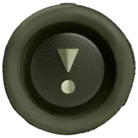 Портативная колонка JBL Flip 6 30 Вт/ Зелёный photo 3