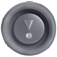 Портативная колонка JBL Flip 6 30 Вт/ Серый photo 4