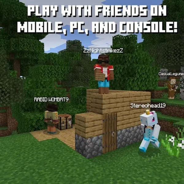  Minecraft Game for Nintendo Switch photo 2