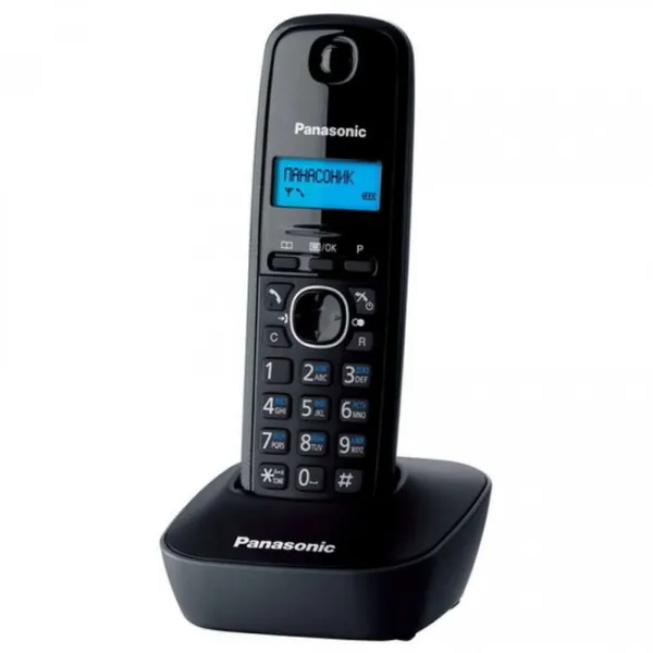 Panasonic KX-TG1612UAH Серый photo 2