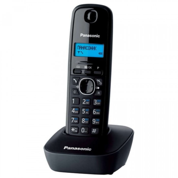 Panasonic KX-TG1612UAH Серый photo 2