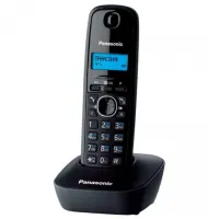 Panasonic KX-TG1612UAH Gray photo 2