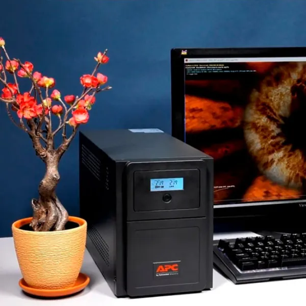 UPS APC SMV1000CAI Black photo 4