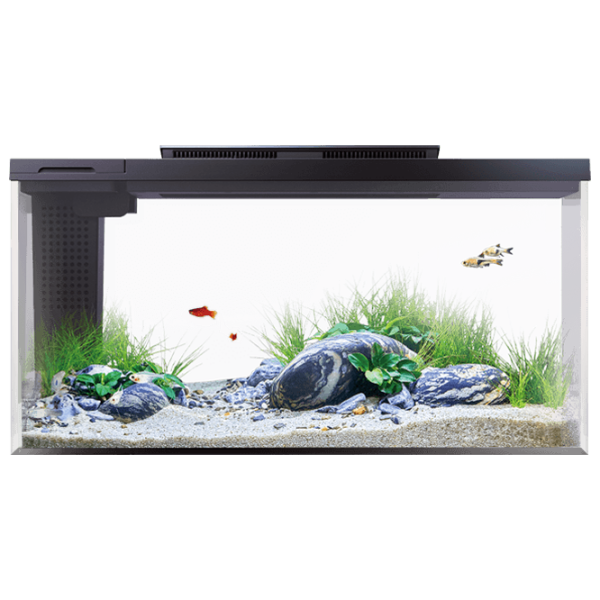 Acvariu Xiaomi Petkit Smart Fish Tank 10 l/ White photo 2