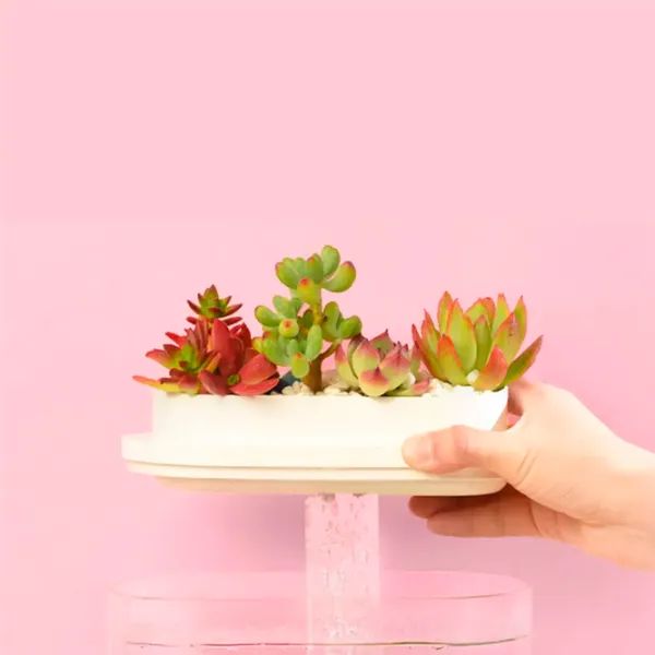 Аквариум Xiaomi Geometry Mini Fish 1.5 л/ Белый photo 8