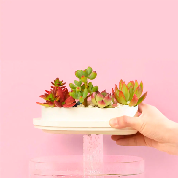 Аквариум Xiaomi Geometry Mini Fish 1.5 л/ Белый photo 8