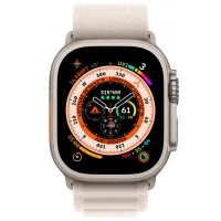 Ремешок Apple Watch Alpine Loop Nailon/ 49 мм/ Starlight Beige photo 3