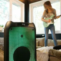 Колонка для вечеринок Blaupunkt PB10DB 1000 W/ Черный photo 8