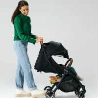 Cărucior pentru copil Lionelo Julie One 1000977-003/ Gray photo 9