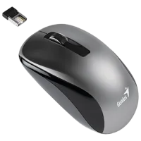 Mouse Genius NX-7010 Gray photo 4
