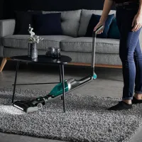 Aspirator vertical Rowenta RH1239WO / Gray Green photo 9