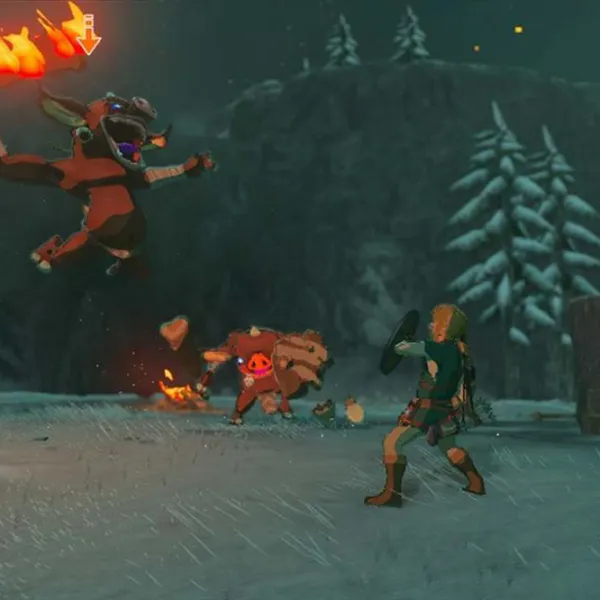 The Legend of Zelda Breath of the Wild Game for Nintendo Switch photo 2