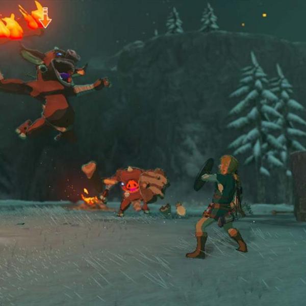 The Legend of Zelda Breath of the Wild Game for Nintendo Switch photo 2