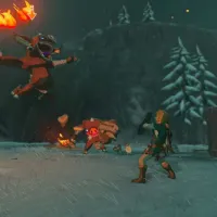 The Legend of Zelda Breath of the Wild Game for Nintendo Switch photo 2