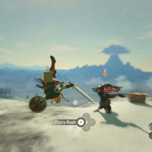 The Legend of Zelda Breath of the Wild Game for Nintendo Switch photo 3