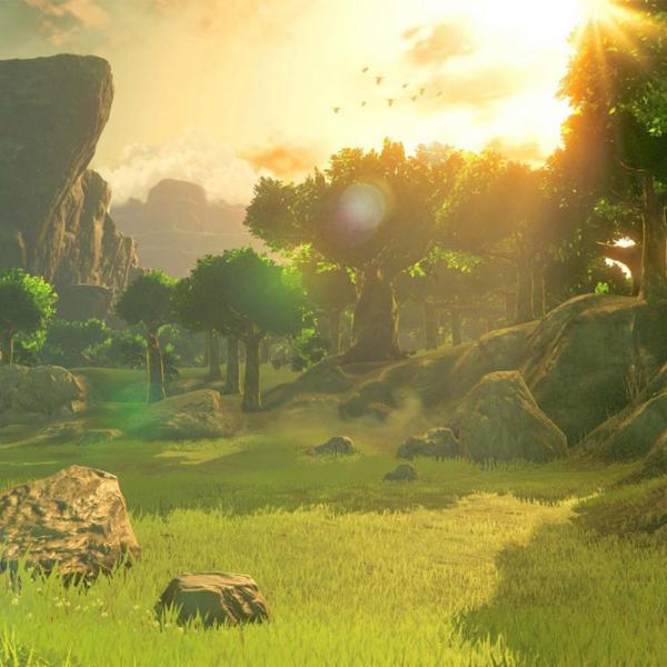 The Legend of Zelda Breath of the Wild Game for Nintendo Switch photo 6